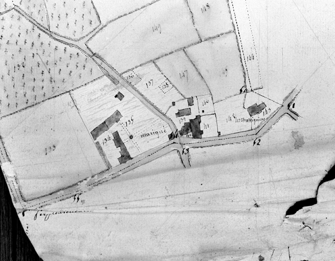 Extrait du 'plan des contributions foncières', section 3, n° 4 (la Petite-Pellière).