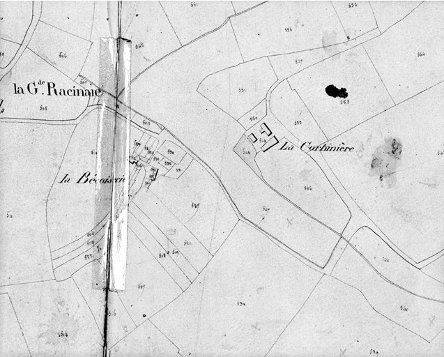 Extrait du plan cadastral de 1824, section B 2, n° 549.