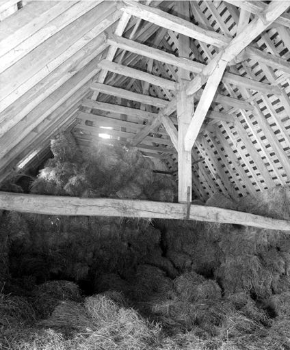 Charpente de l'étable-grange.