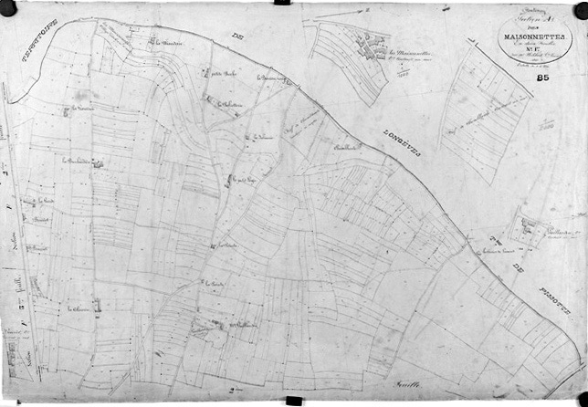 'Plan cadastral parcellaire de la commune de Fontenay', 1843. Section A des Maisonnettes, feuille n°1 au 1/2000e. (Versé par le Service du Cadastre aux AD Vendée).