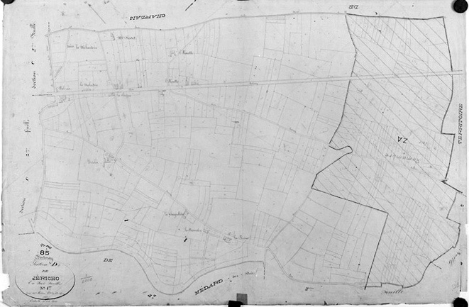 'Plan cadastral parcellaire de la commune de Fontenay', 1843. Section D de Jéricho, feuille n°1 au 1/2000e. (Versé par le Service du Cadastre aux AD Vendée).