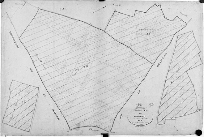 'Plan cadastral parcellaire de la commune de Fontenay', 1843. Section D de Jéricho, feuille n°3 au 1/2000e. (Versé par le Service du Cadastre aux AD Vendée).