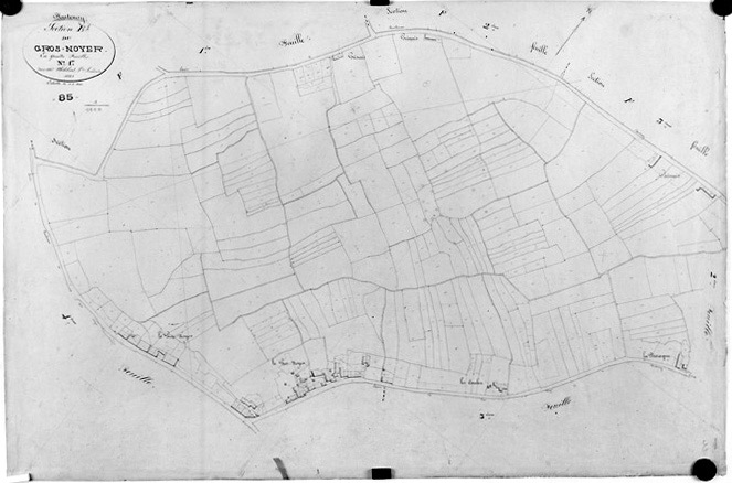 'Plan cadastral parcellaire de la commune de Fontenay', 1843. Section E du Gros-Noyer, feuille n°1 au 1/1000e. (Versé par le Service du Cadastre aux AD Vendée).