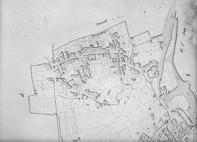 'Plan parcellaire de la commune de Fontenay', 1812. Détail de la section D du Marchiou, au 1/1250e. (Musée Vendéen, Fontenay-le-Comte).