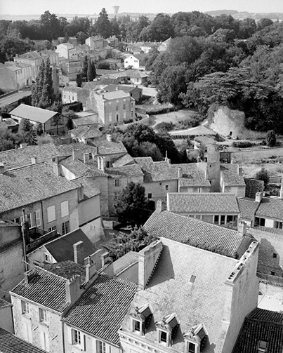 Vue prise du haut de Notre-Dame en direction du nord.