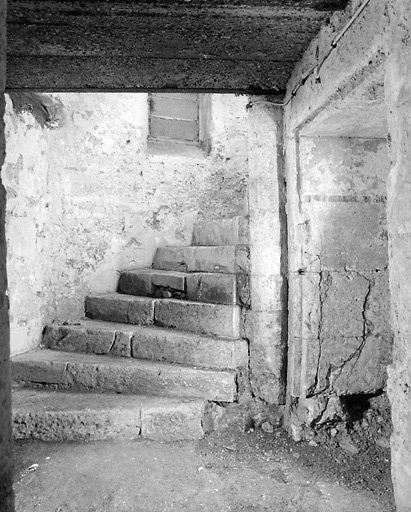 Vue de l'escalier principal prise du sous-sol.