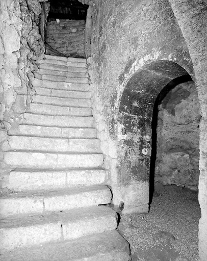 Vue de l'escalier menant au sous-sol à partir de la cour postérieure.