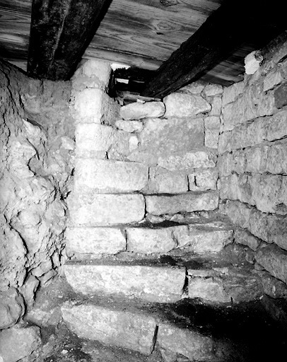 Vue de l'escalier menant au sous-sol à partir de la cour postérieure, montrant les vestiges d'un escalier en vis.