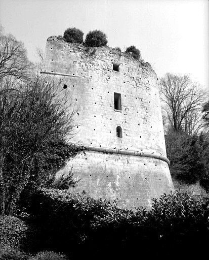 La tour de la Boulaye prise du sud.