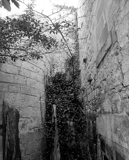 Vestiges du mur d'enceinte, à droite de la tour incluse dans l'hôtel 14, rue Pierre-Brissot.