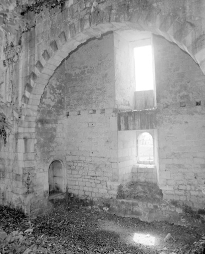 Vestiges de la tour de la Boulaye vus de l'esplanade du château.