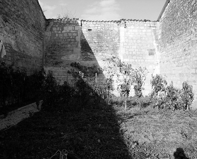 Vestiges de la chapelle : mur nord de la deuxième travée (vue prise de ce qui était autrefois l'intérieur de la chapelle).