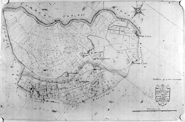 Commune de Saint-Médard-des-Prés, rattachée à la commune de Fontenay-le-Comte en 1972. Plan cadastral de 1810, section A1 dite du Martrais au 1/2500e.