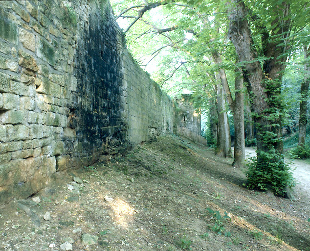 Vue du mur d'enceinte et de la tour à l'arrière du 3, impasse Mouillebert. Vue prise de l'entrée du parc Baron.