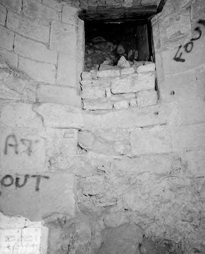 Tour d'enceinte près du Pont-Neuf : accès au niveau supérieur par un escalier en vis situé à droite de la porte d'entrée. En haut, porte d'accès murée.