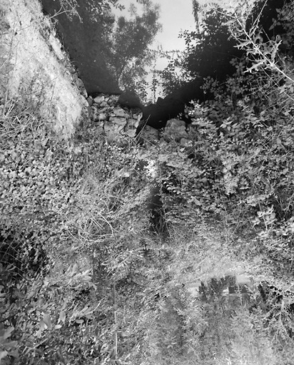 Vue prise du pont permettant de franchir le ruisseau, montrant la prise d'eau de la roue.