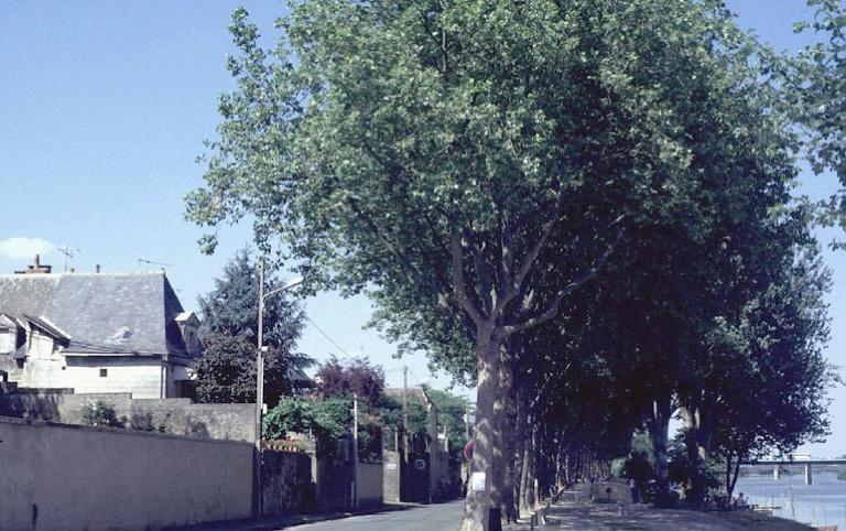 Vue de site, en bordure de Maine, à hauteur du n° 52, promenade de Reculée.