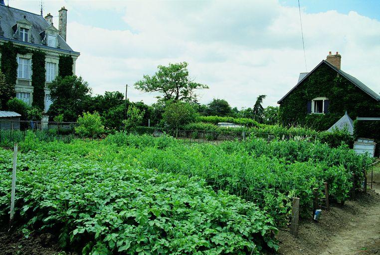 jardin potager au nord du logis, en axe est-ouest. Au fond, le logis annexe.