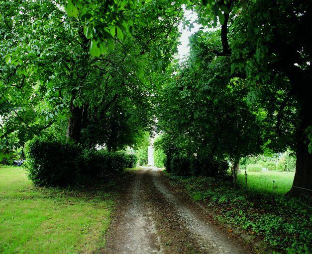 Parc : la grande allée menant au château.