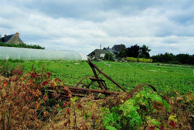 Paysage champêtre vers la Gatelière, du sud-est.