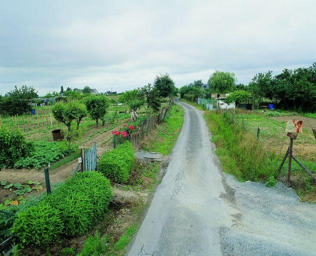 Potagers familiaux : vue dans l'axe du chemin du Hérisson, du sud vers le nord.