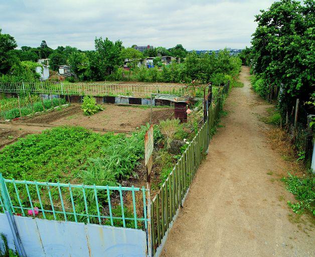 Potagers familiaux, chemin du Hérisson : l'une des traverses, vers l'est.