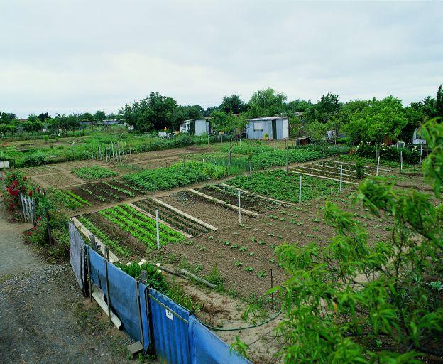 Potagers familiaux, chemin du Hérisson : vue vers sud.