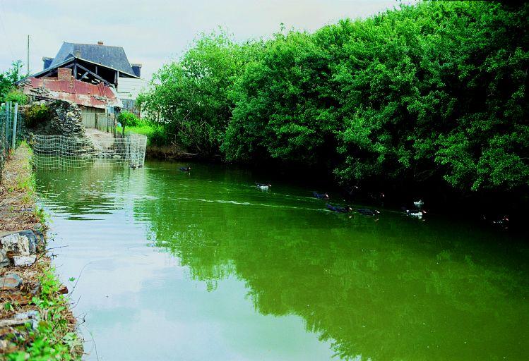 Une mare aux canards au bord d'un chemin, à la Gatelière.