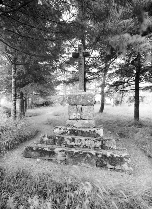 Croix du placître : vue générale face sud ; Face sud