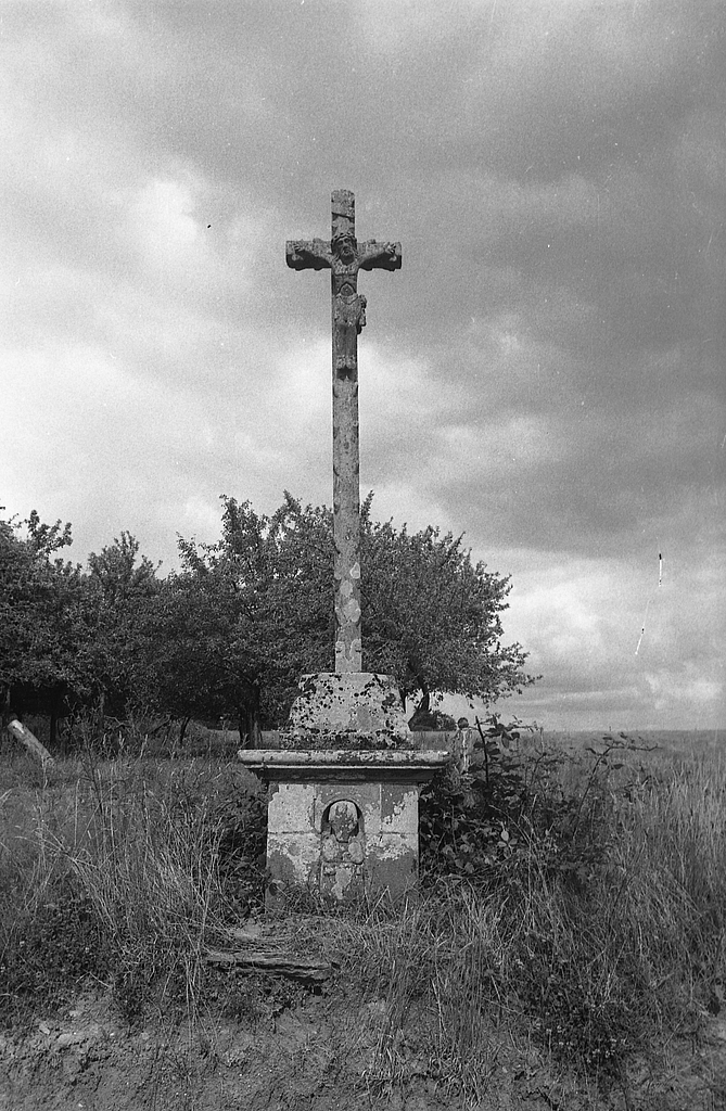 Face antérieure, vue générale