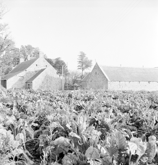 Ferme, Kerroué (Kerlaz)