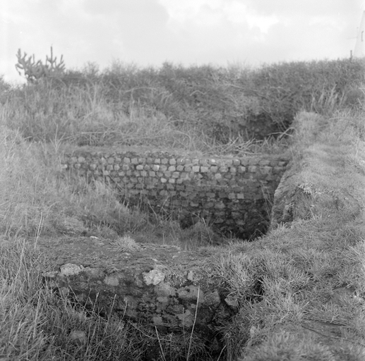 Site gallo-romain de Trouguer (Cléden-Cap-Sizun)