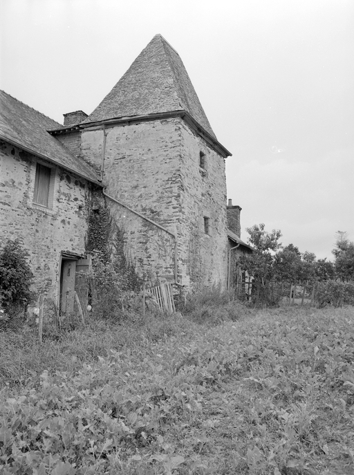 Manoir (vestiges), tourelle d'escalier de l'élévation postérieure.