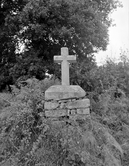Vue générale ; Croix monumentale, Carpehaie : vue générale