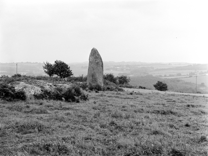 2ème menhir : vue générale ; Vue générale