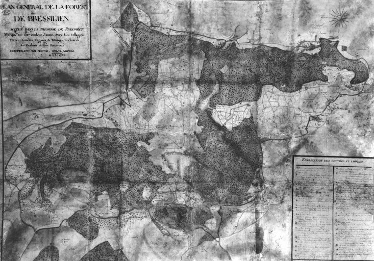 Plan général de la forêt en 1727 ; Carte de la forêt de 'Bressilien' en 1727