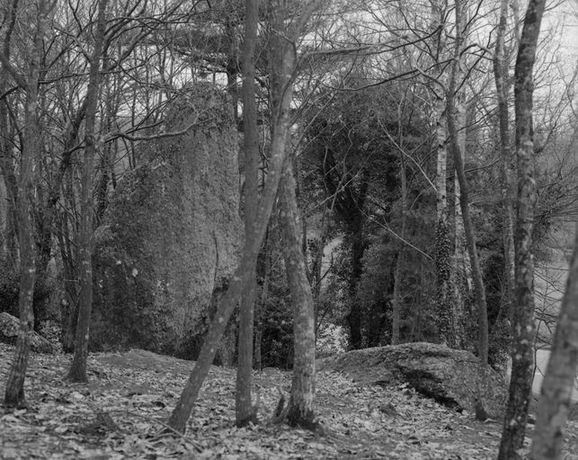 Menhir, dit de la Roche piquée (La Gacilly)