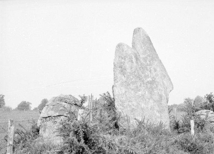 Menhir dit menhir Fourchu, vue sud-est.