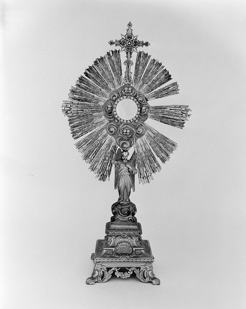 Vue générale face antérieure