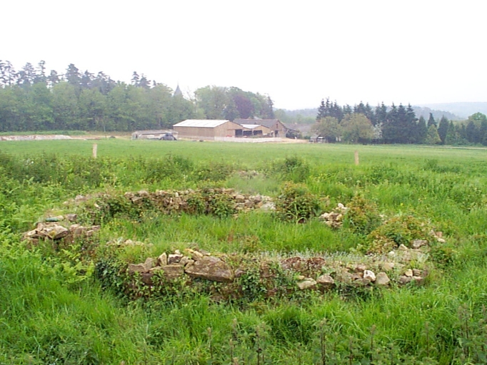 Les ruines du temple : vue générale nord-ouest