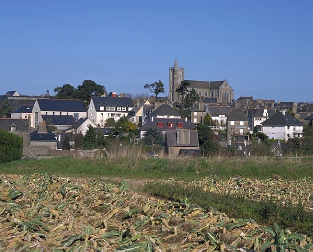 Vue de la ville-haute depuis la Ville-Garnier ; Vue sud de la ville-haute depuis la Ville-Garnier