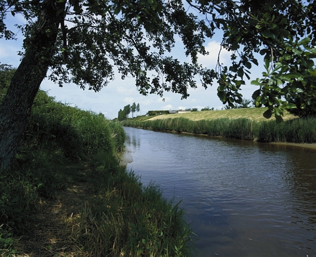 Le fossé à hauteur de la Seigneurie ; Le fossé est aujourd'hui le plus large des canaux de drainage du marais