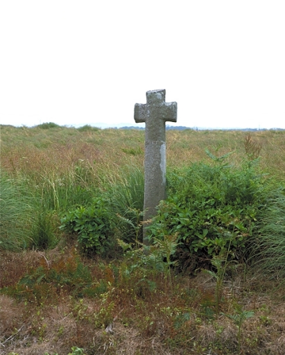 Vue générale nord ; La croix près de la Bonnais