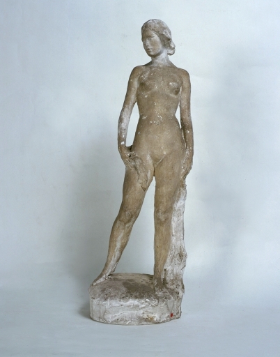 Vue générale de face