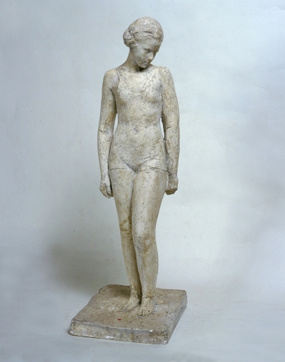 Vue générale de face