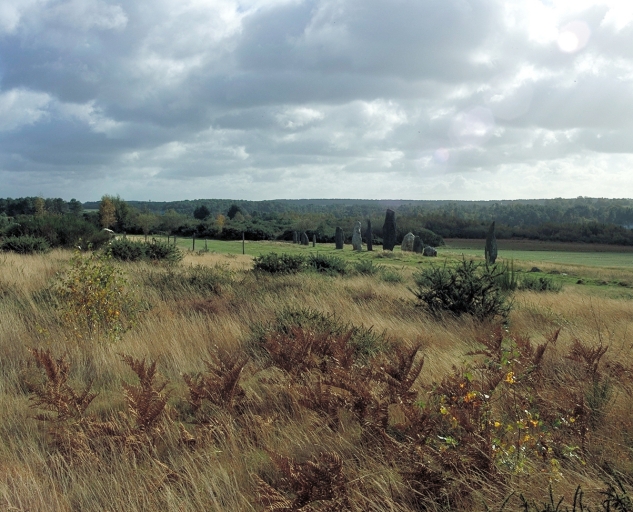 Les alignements du Moulin : vue générale