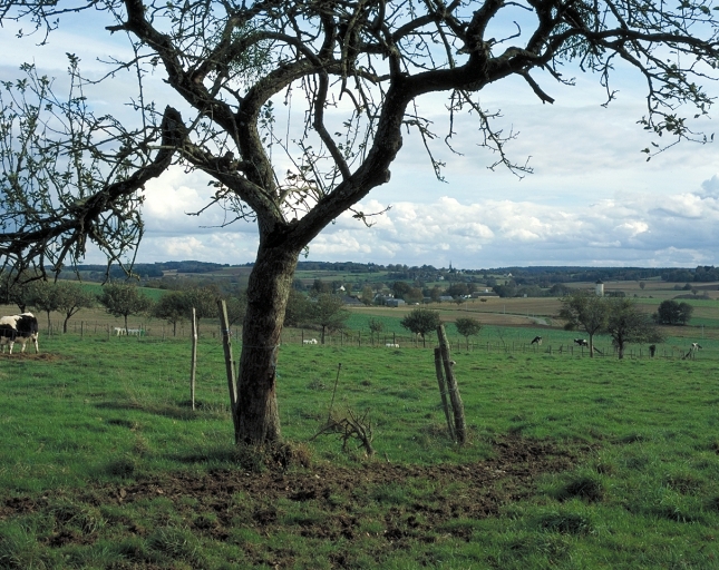 Vue du bourg et de l'ancien moulin de la Forgerais depuis le nord ; Vue de situation du bourg depuis le nord-ouest