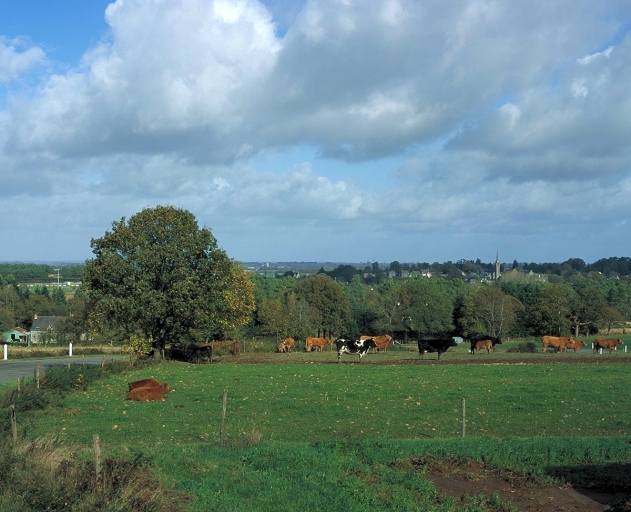 Village : vue de situation depuis le sud