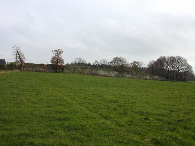 Vestiges du mur de clôture ; La Thébaudais : vestiges du mur de clôture de l'ancien manoir