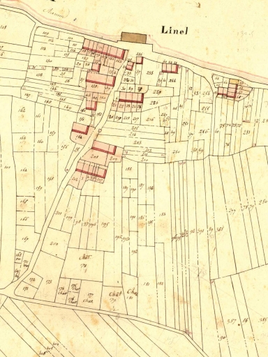 Vue de situation sur le cadastre de 1831 ; alignement en bas de l'image ; Vue de situation sur le cadastre de 1831 ; alignement en bas de l'image ; Extrait du cadastre de 1831 ; Linel en 1831